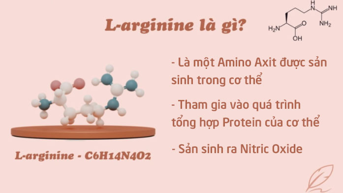 Một số tác dụng của L-Arginine đối với sinh lý nam giới