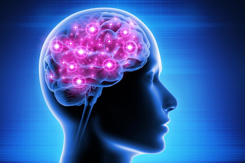 Hoạt Huyết Dưỡng Não Đông Dược 5: Bí quyết tăng cường tuần hoàn máu não!