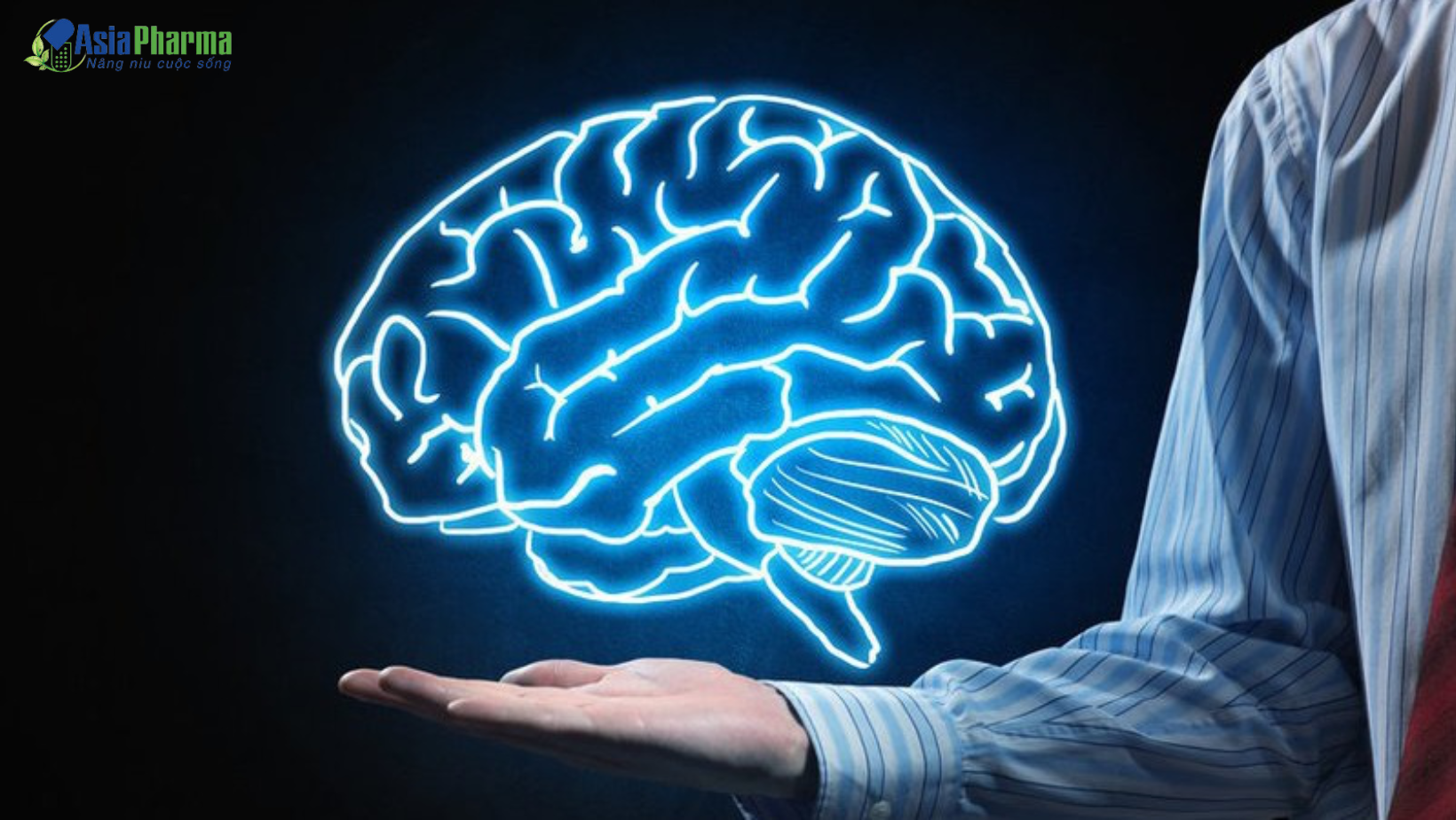 Hoạt Huyết Dưỡng Não Đông Dược 5: Bí quyết tăng cường tuần hoàn máu não!