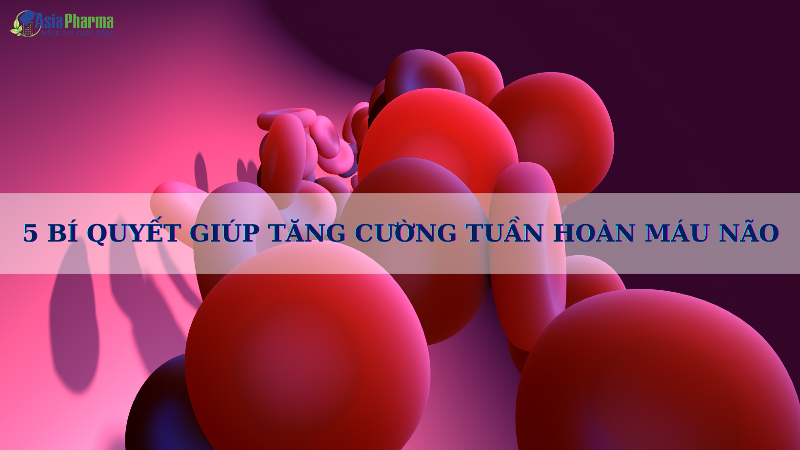 5 BÍ QUYẾT GIÚP TĂNG CƯỜNG TUẦN HOÀN MÁU NÃO