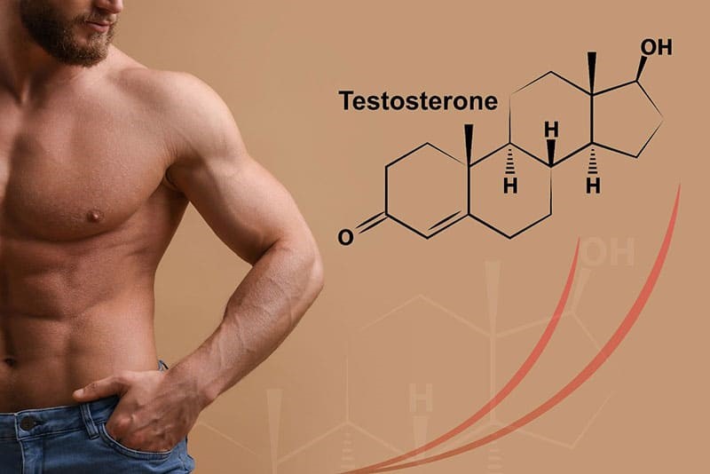 THỰC PHẨM BỔ SUNG TESTOSTERON TỰ NHIÊN CHO NAM GIỚI