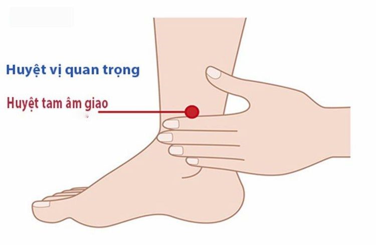 CÁC HUYỆT CHỮA MẤT NGỦ HIỆU QUẢ
