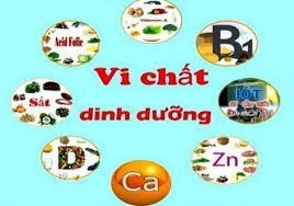 KHI NÀO NÊN BỔ SUNG VI CHẤT CHO CƠ THỂ